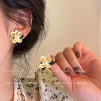 1 Paar IG-Stil Blume Überzug Inlay Aryl Legierung Künstliche Perlen Strasssteine Ohrringe main image 5