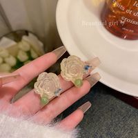 1 Paar IG-Stil Blume Überzug Inlay Aryl Legierung Künstliche Perlen Strasssteine Ohrringe sku image 7