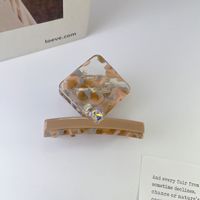 Estilo Simple Estilo Clásico Color Sólido Hojas De Acetato Embutido Diamantes De Imitación Garras De Pelo 1 Pieza sku image 6