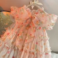 Princess Ditsy Floral Lace Bowknot Polyester Girls Dresses main image 4