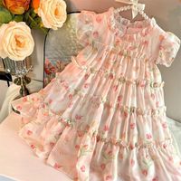 Princess Ditsy Floral Lace Bowknot Polyester Girls Dresses main image 3
