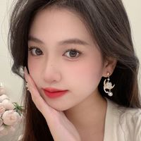 1 Pair Simple Style Classic Style Cat Patchwork Alloy Drop Earrings main image 3