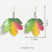 1 Pair Casual Simple Style Maple Leaf Arylic Drop Earrings main image 7