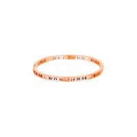 Stainless Steel Simple Style Roman Numeral Plating Inlay Zircon Bangle sku image 2