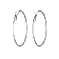 1 Paire Style Simple Couleur Unie Placage Acier Au Titane Des Boucles D'Oreilles sku image 4