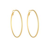 1 Paire Style Simple Couleur Unie Placage Acier Au Titane Des Boucles D'Oreilles sku image 8