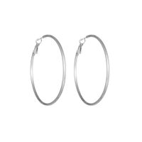 1 Pair Simple Style Geometric Plating Titanium Steel Earrings sku image 7
