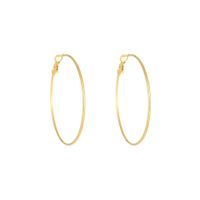 1 Pair Simple Style Geometric Plating Titanium Steel Earrings sku image 20