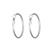 1 Pair Simple Style Geometric Plating Titanium Steel Earrings sku image 3