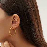 1 Pair Simple Style Solid Color Plating Titanium Steel Earrings main image 4