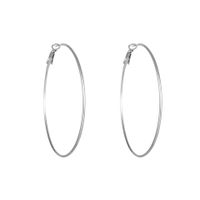 1 Pair Simple Style Geometric Plating Titanium Steel Earrings sku image 12