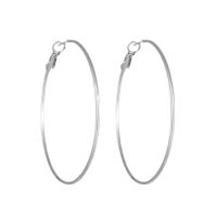 1 Pair Simple Style Geometric Plating Titanium Steel Earrings main image 4