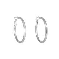 1 Pair Simple Style Geometric Plating Titanium Steel Earrings sku image 5