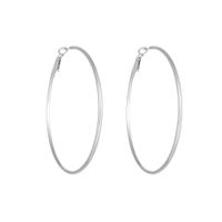 1 Pair Simple Style Geometric Plating Titanium Steel Earrings sku image 11