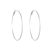 1 Pair Simple Style Geometric Plating Titanium Steel Earrings sku image 15