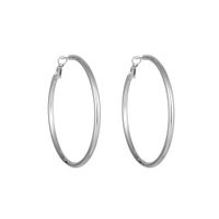 1 Pair Simple Style Geometric Plating Titanium Steel Earrings sku image 13
