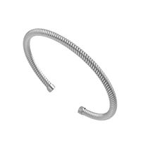 Titanium Steel Simple Style Solid Color Plating Bangle main image 2