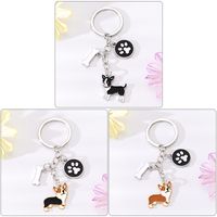 Cute Simple Style Dog Paw Print Unforgettable Alloy Plating Bag Pendant Keychain main image 5