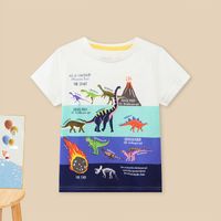 Décontractée Animal Dessin Animé Coton T-shirts & Chemises sku image 14