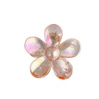 Women's Simple Style Flower Plastic Resin Hair Claws main image 3