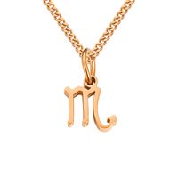 Stainless Steel Simple Style Plating Hollow Out Constellation Pendant Necklace main image 3