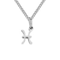 Stainless Steel Simple Style Plating Hollow Out Constellation Pendant Necklace sku image 2