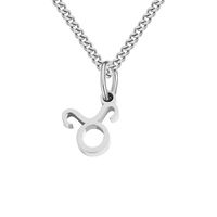Stainless Steel Simple Style Plating Hollow Out Constellation Pendant Necklace sku image 4