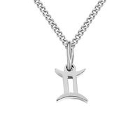 Stainless Steel Simple Style Plating Hollow Out Constellation Pendant Necklace sku image 5