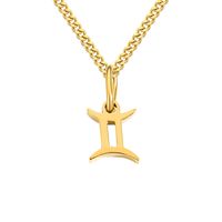 Stainless Steel Simple Style Plating Hollow Out Constellation Pendant Necklace sku image 24