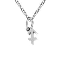 Stainless Steel Simple Style Plating Hollow Out Constellation Pendant Necklace sku image 11
