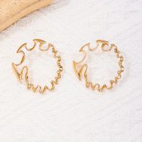 1 Paire Style Simple Irrégulier Alliage Boucles D'Oreilles main image 3