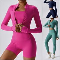 Simple Style Solid Color Nylon Spandex Standing Collar Tracksuits 3 Piece Sets main image video