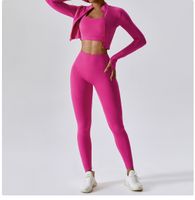 Simple Style Solid Color Nylon Spandex Standing Collar Tracksuits 3 Piece Sets main image 5