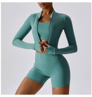 Simple Style Solid Color Nylon Spandex Standing Collar Tracksuits 3 Piece Sets main image 3
