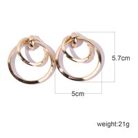 1 Pair Nordic Style Exaggerated Cool Style Circle Plating Metal Gold Plated Drop Earrings main image 2