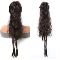 Women's Sweet Brown Casual Holiday Birthday Chemical Fiber Long Curly Hair Ponytail Wig Clips main image 8
