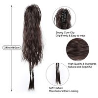 Women's Sweet Brown Casual Holiday Birthday Chemical Fiber Long Curly Hair Ponytail Wig Clips main image 9