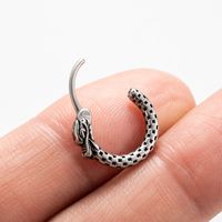 1 Piece Vintage Style Simple Style Snake Dragon Stainless Steel Ear Studs main image 8