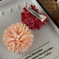 Women's Casual Simple Style Flower Cloth Hair Clip main image 5