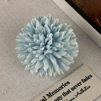 Women's Casual Simple Style Flower Cloth Hair Clip sku image 4