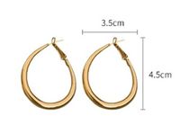 1 Piece Casual Simple Style Geometric Iron Hoop Earrings main image 2