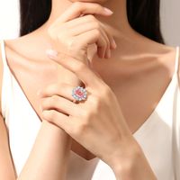 Sterling Silber Einfacher Stil Klassischer Stil Geometrisch Inlay Diamant Mit Hohem Kohlenstoffgehalt Ringe main image 6