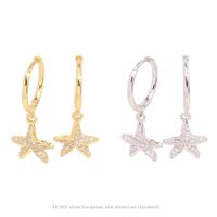 1 Paire Style Simple Style Classique Star Incruster Argent Sterling Zircon Boucles D'oreilles main image 2