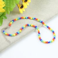 Pastoral Color Block Plastic Resin Beaded Women's Necklace main image 7