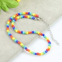 Pastoral Color Block Plastic Resin Beaded Women's Necklace main image 4