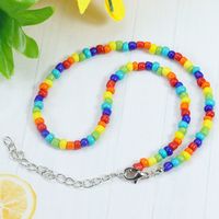 Pastoral Color Block Plastic Resin Beaded Women's Necklace main image 6