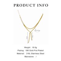 316 Stainless Steel  18K Gold Plated Simple Style Geometric Long Necklace main image 2