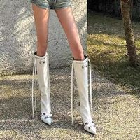 Women's Sexy Solid Color Point Toe Riding Boots main image 1