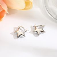 1 Pair Simple Style Classic Style Star Heart Shape Copper 18K Gold Plated Earrings sku image 4