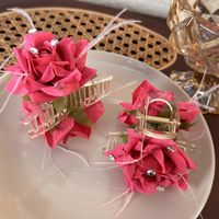 Women's Elegant Vacation Romantic Flower Arylic Cloth Flowers Hair Clip main image 2